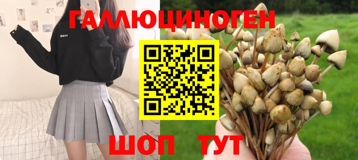 Муравленко  Галлюциногенные грибы прущие грибы  Вход с VPN 